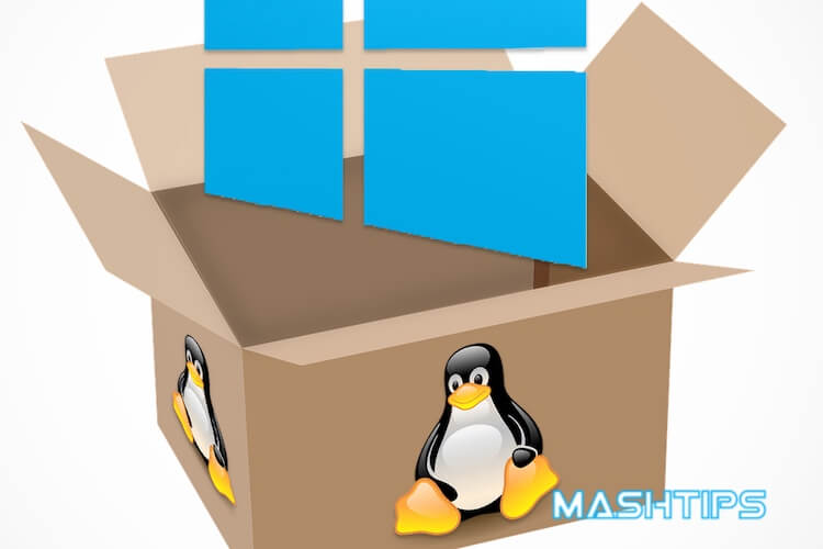 How to Run Windows Programs on Linux? MashTips