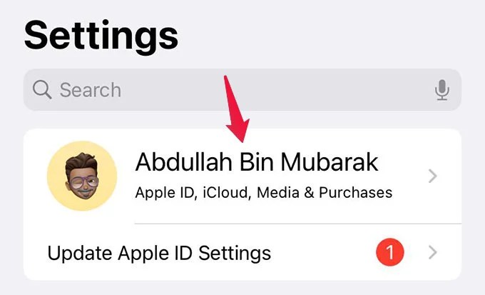 How to Hide Your IP Address on iPhone Without a VPN MashTips