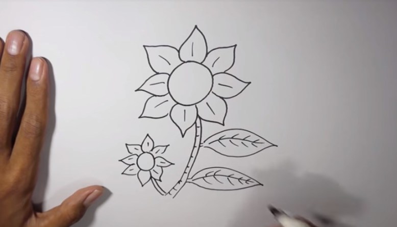 Gambar Sketsa Bunga Indah, Sakura, Mawar Melatu Terbaru Terlengkap 445_X_778_jpg