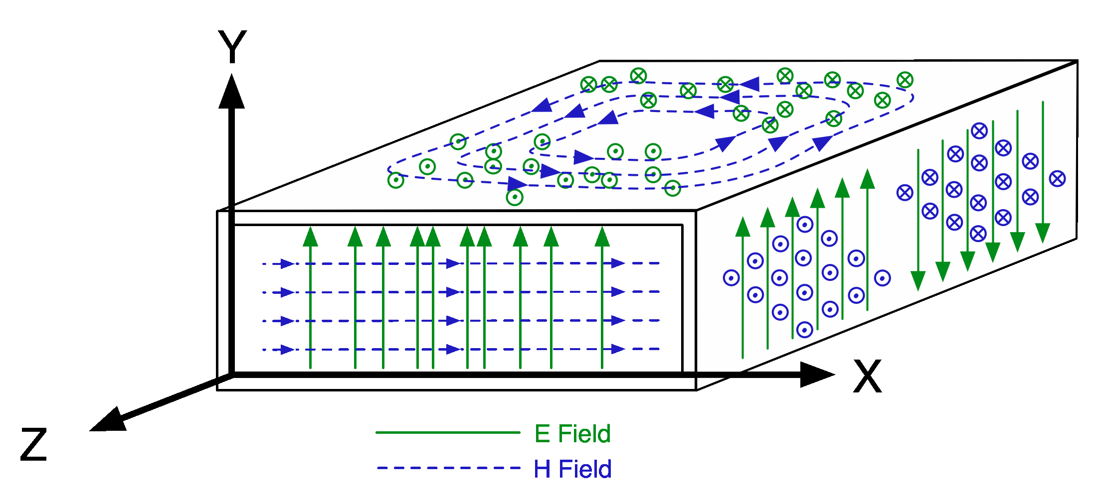 Animation and Electric Field Vs Time