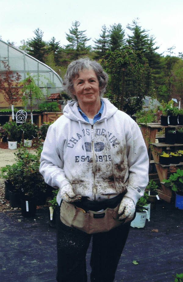 Mason Brook Nursery, Route 124 Mason, NH 6038780088