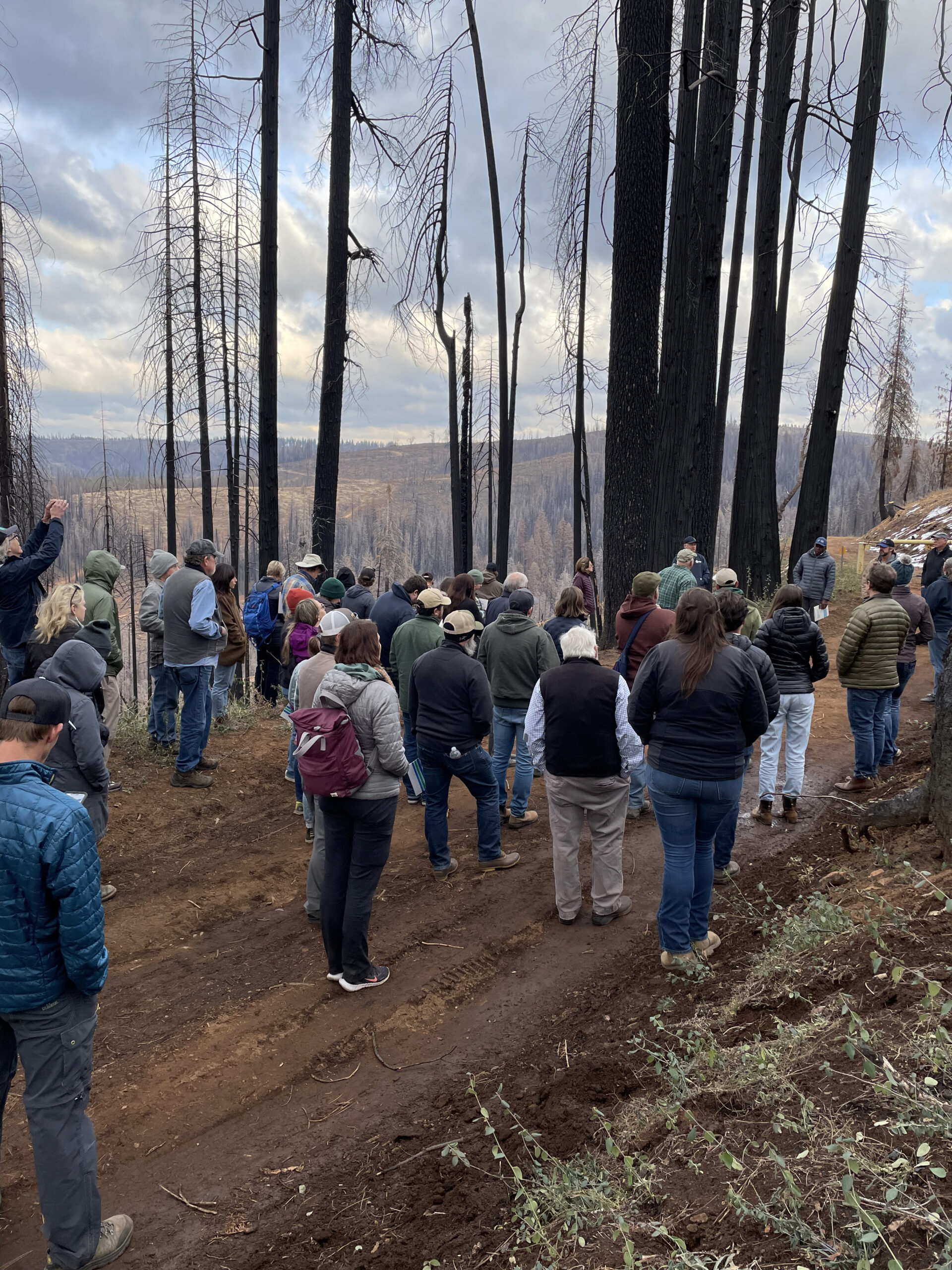 Mason, Bruce & Girard California RCD Conference Mason, Bruce & Girard