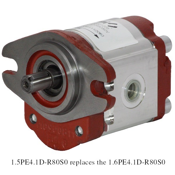 Salami Hydraulics Aluminum Gear Pump 1.5PE4.1DR80S0 Mason Dynamics