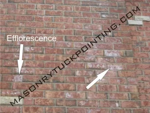 How to Remove Efflorescence How Efflorescence.