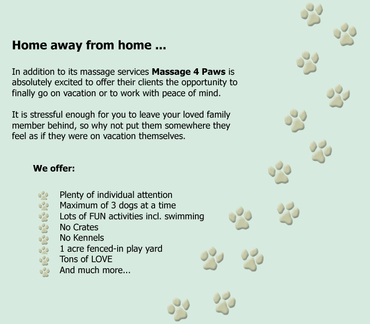 Dog Doggie Daycare Boarding Pet Hotel Winter Haven Lakeland Davenport FL