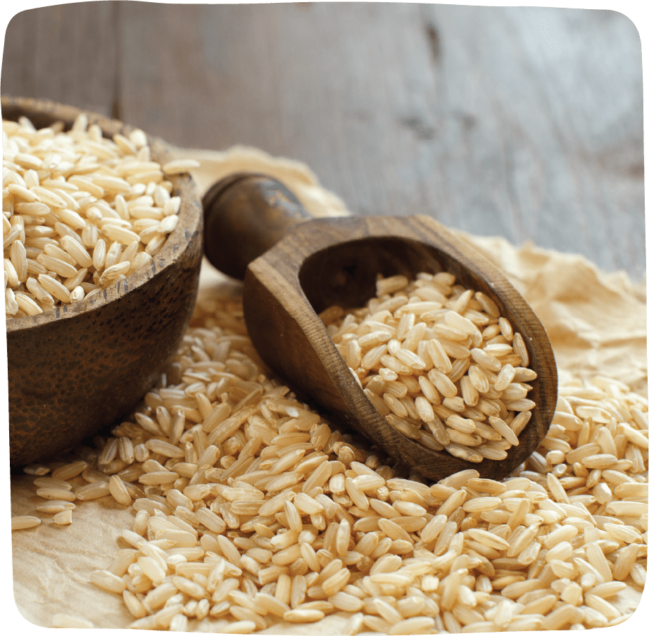 Organic mediumgrain brown rice Massa Organics Chico, California