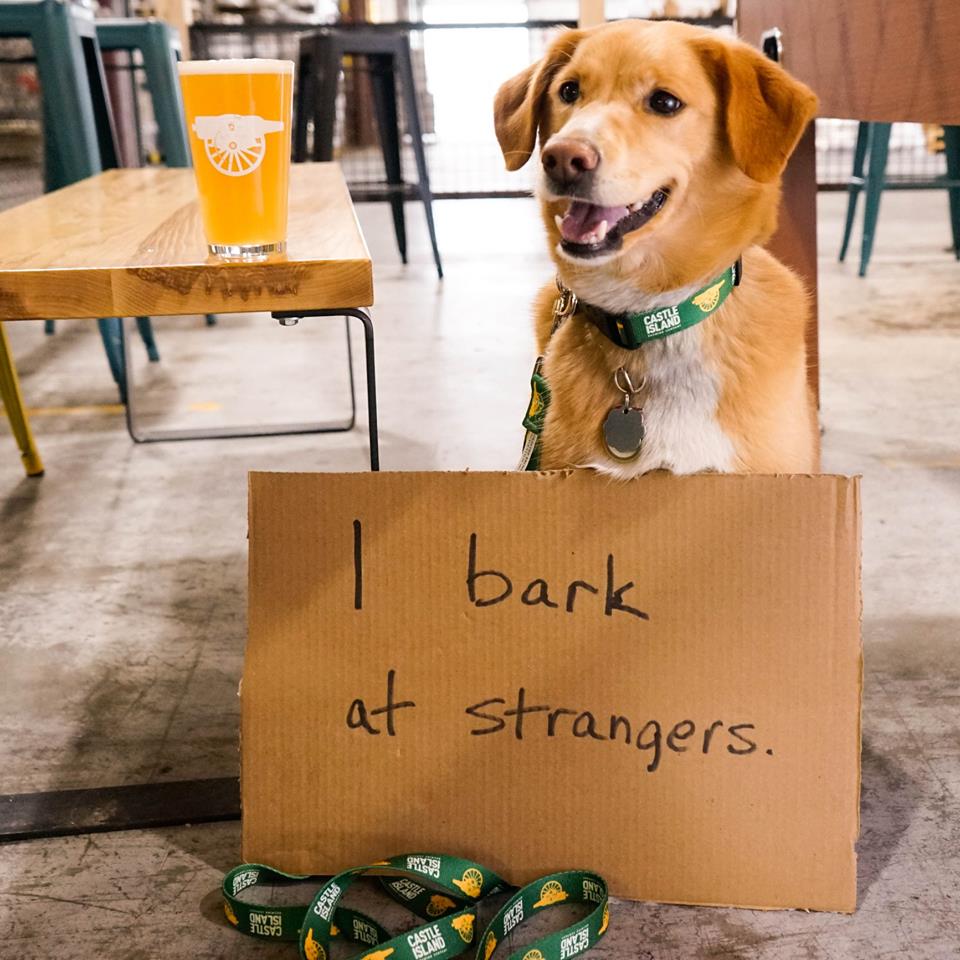 Can You Bring Dogs To Castle Island