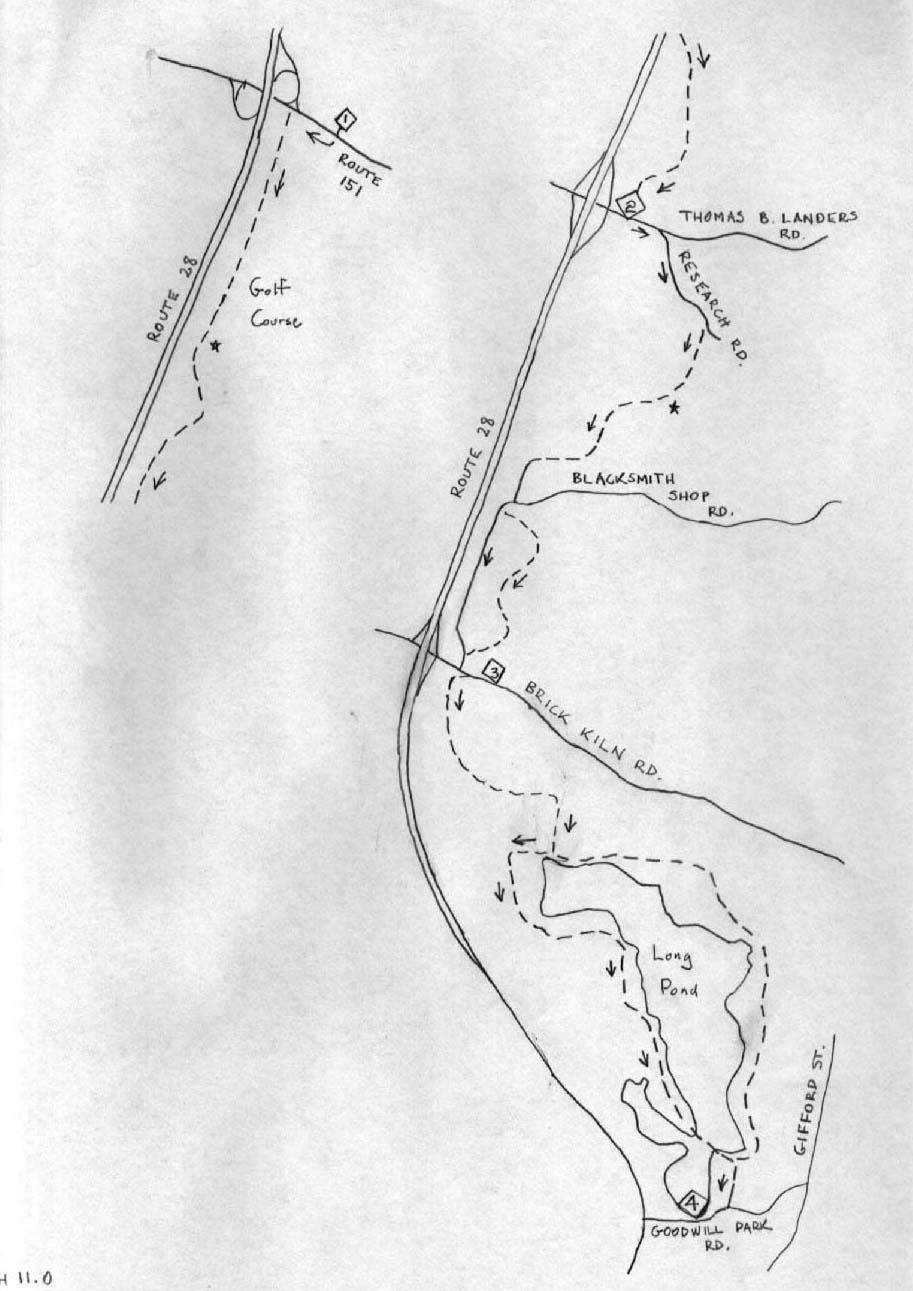 Trails in Falmouth, Massachusetts