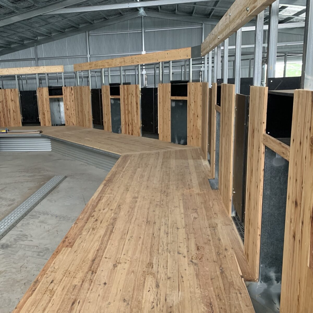 Shearing Sheds MA Steel