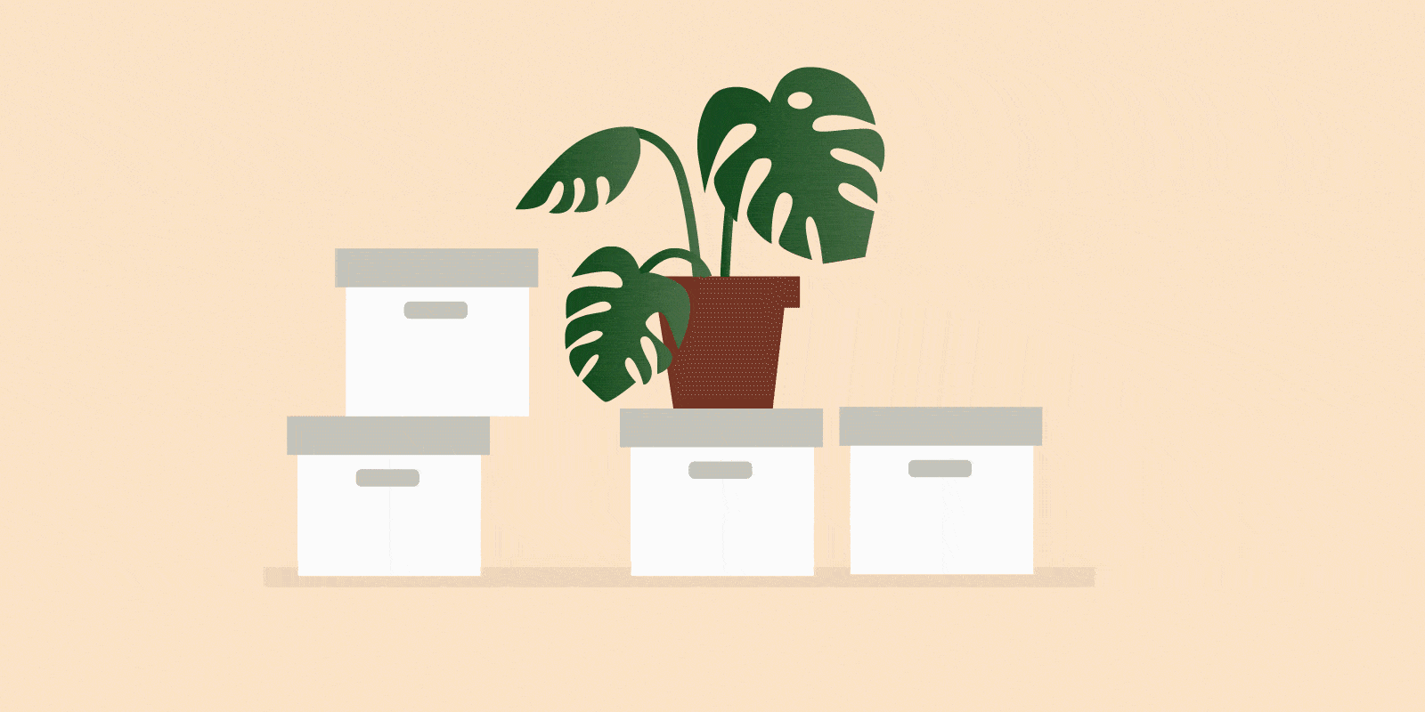 Как озеленить бизнеспространство, чтобы растения выжили