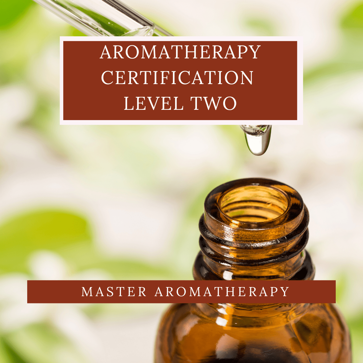 Aromatherapy Levels One & Two Master Aromatherapy