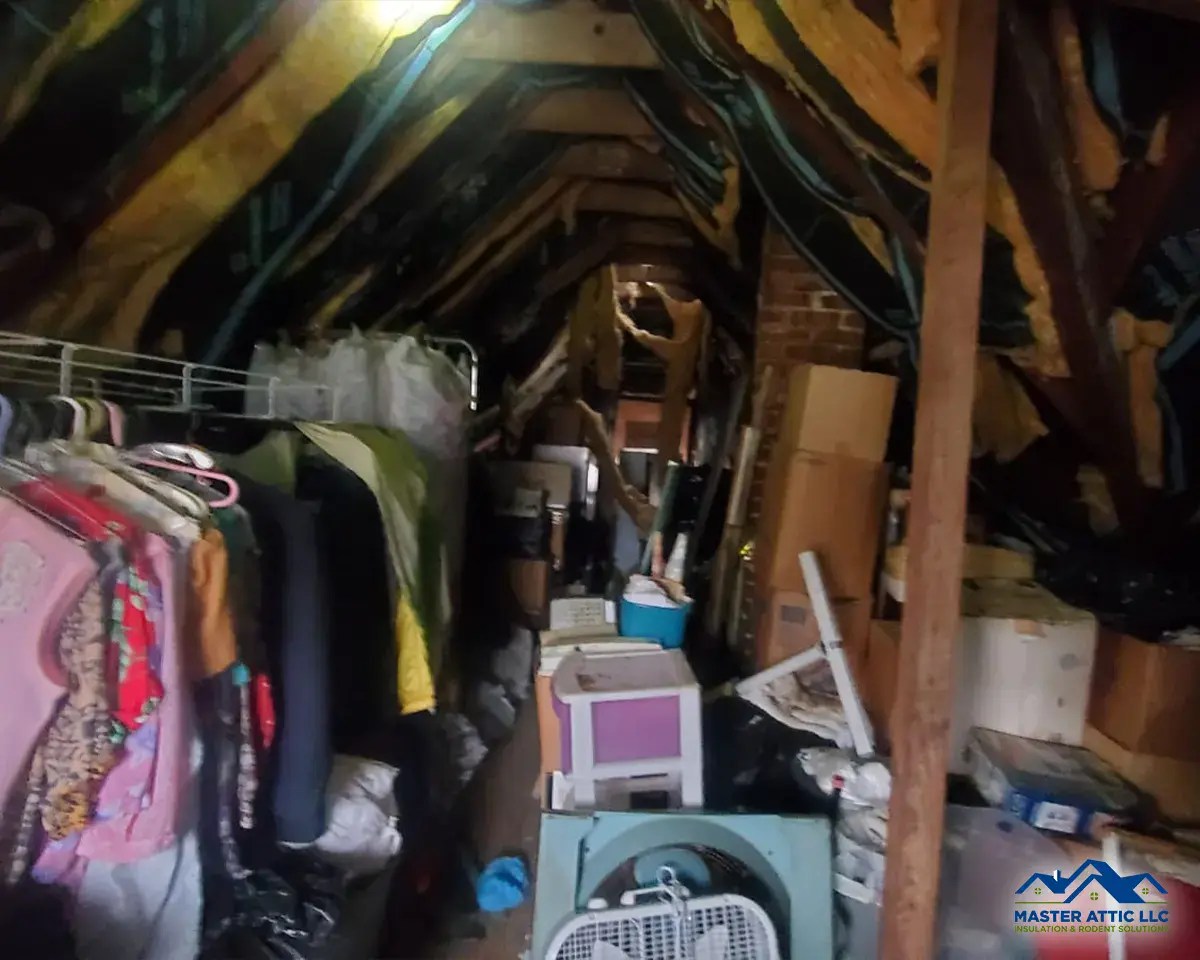 Attic Cleanup Services in Ridgewood, New Jersey
