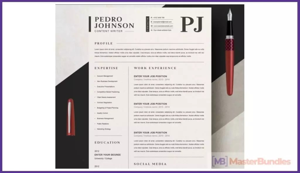 50+ Best Chronological Resume Templates in 2020 Free and Premium