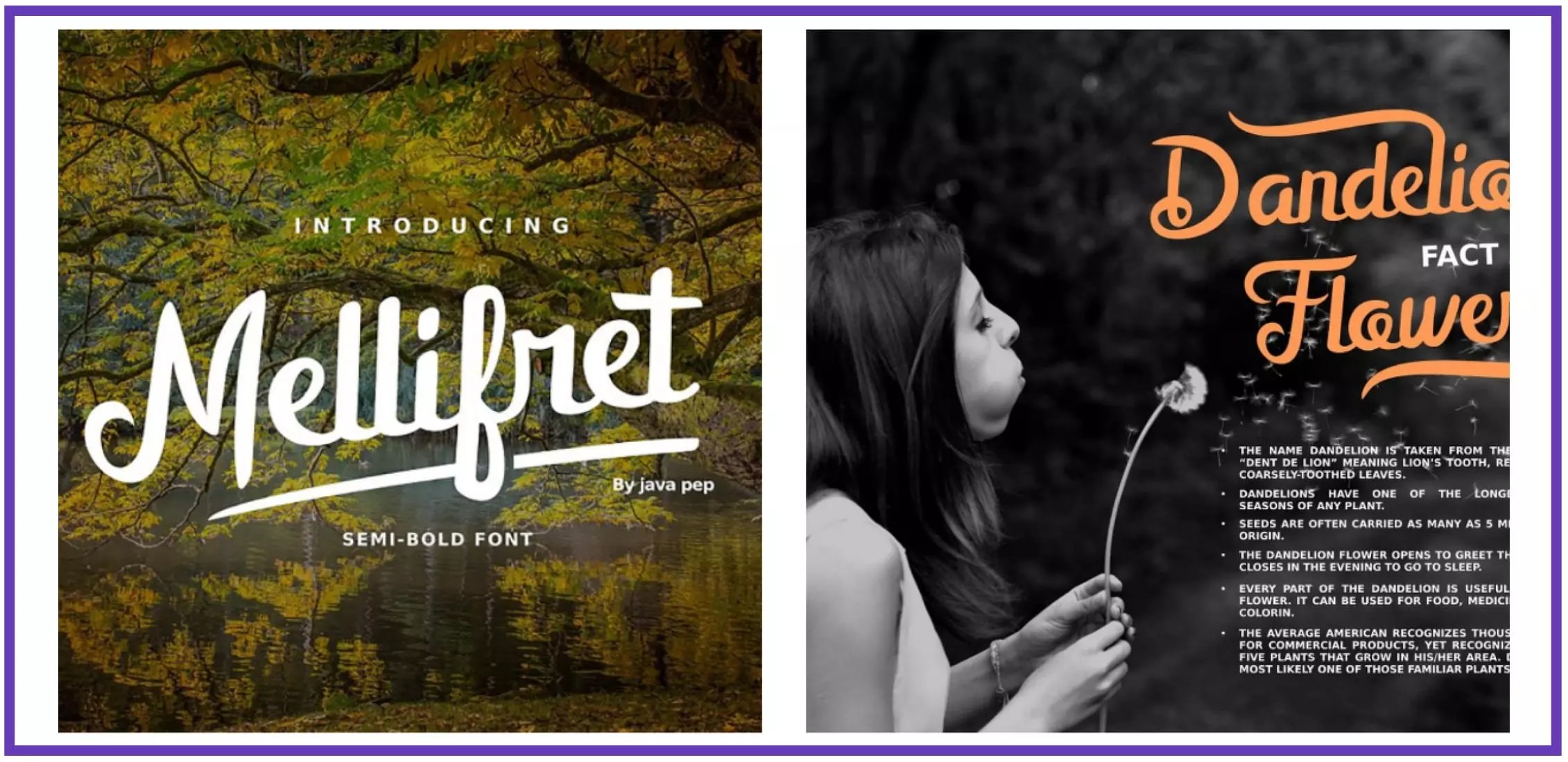 50+ Trendy Whimsical Fonts for Typography 2021 Online Design Week