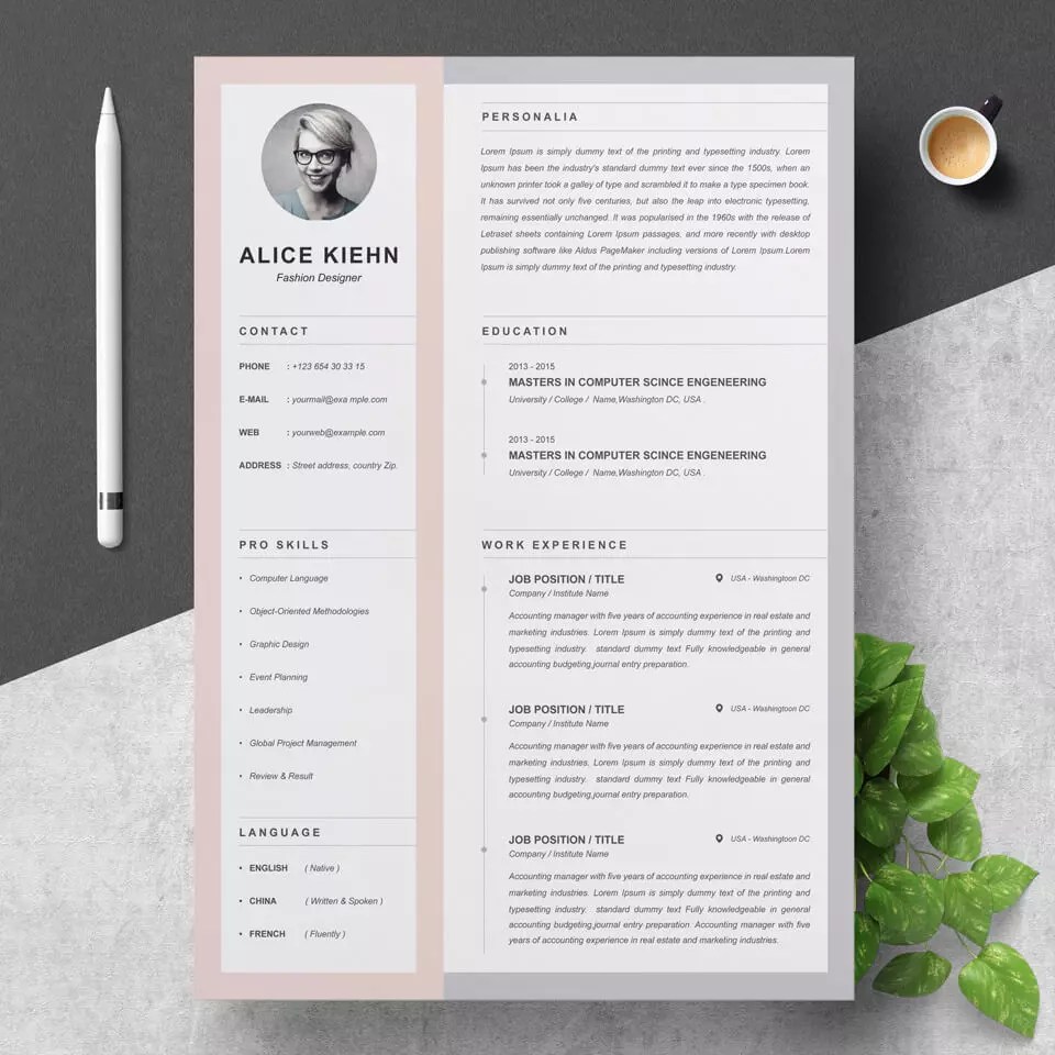 Cv Curriculum Vitae