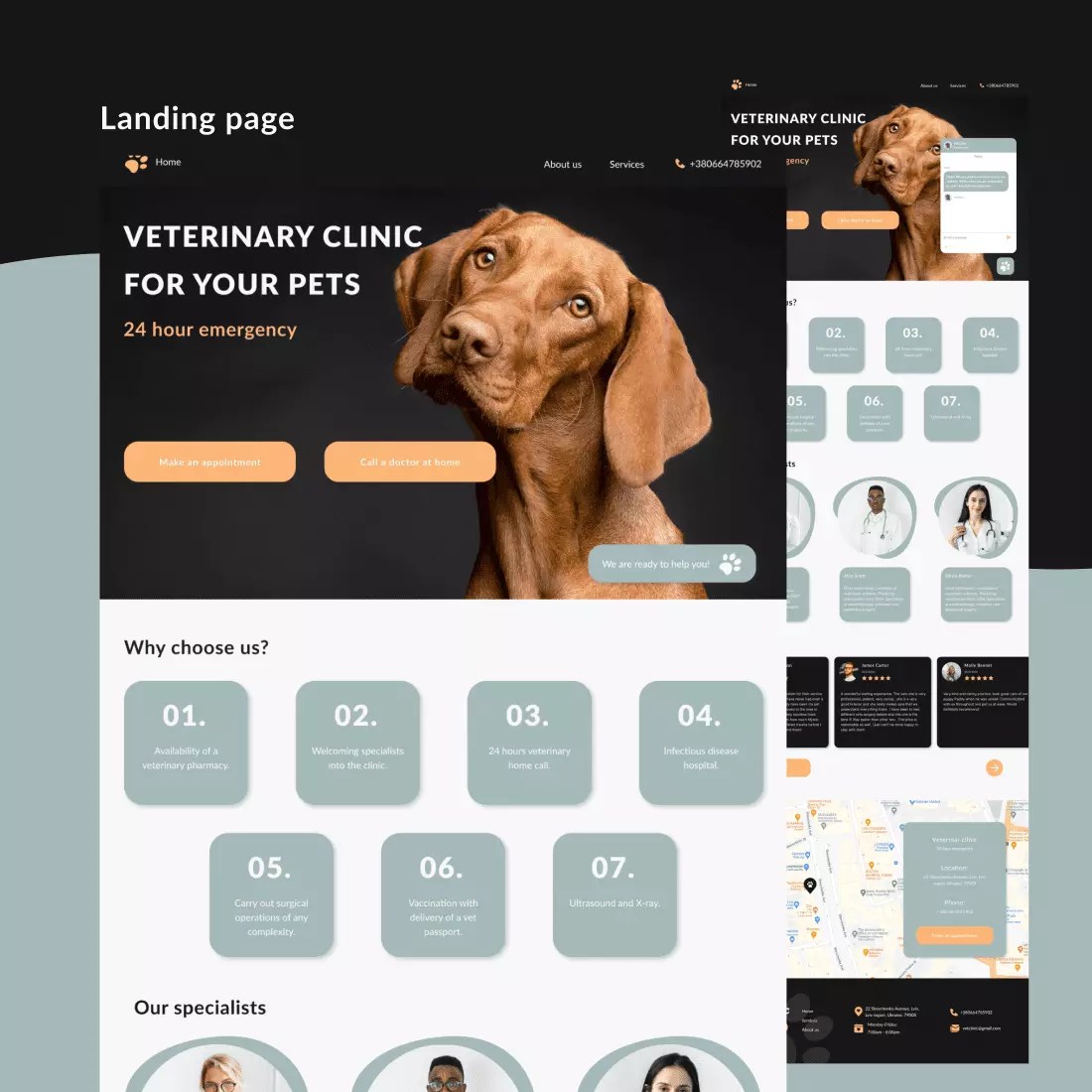 Diamond Pet Clinic