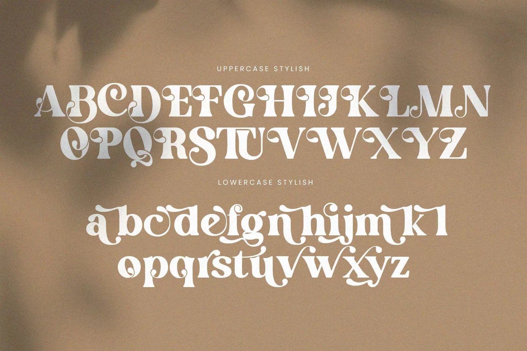 English Island Ligature Serif Font MasterBundles