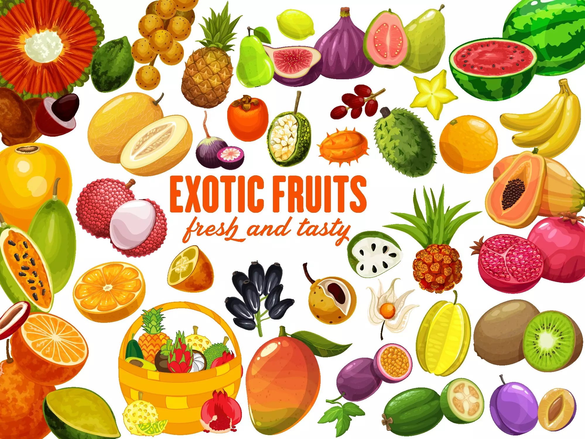Exotic Fruits Clipart MasterBundles