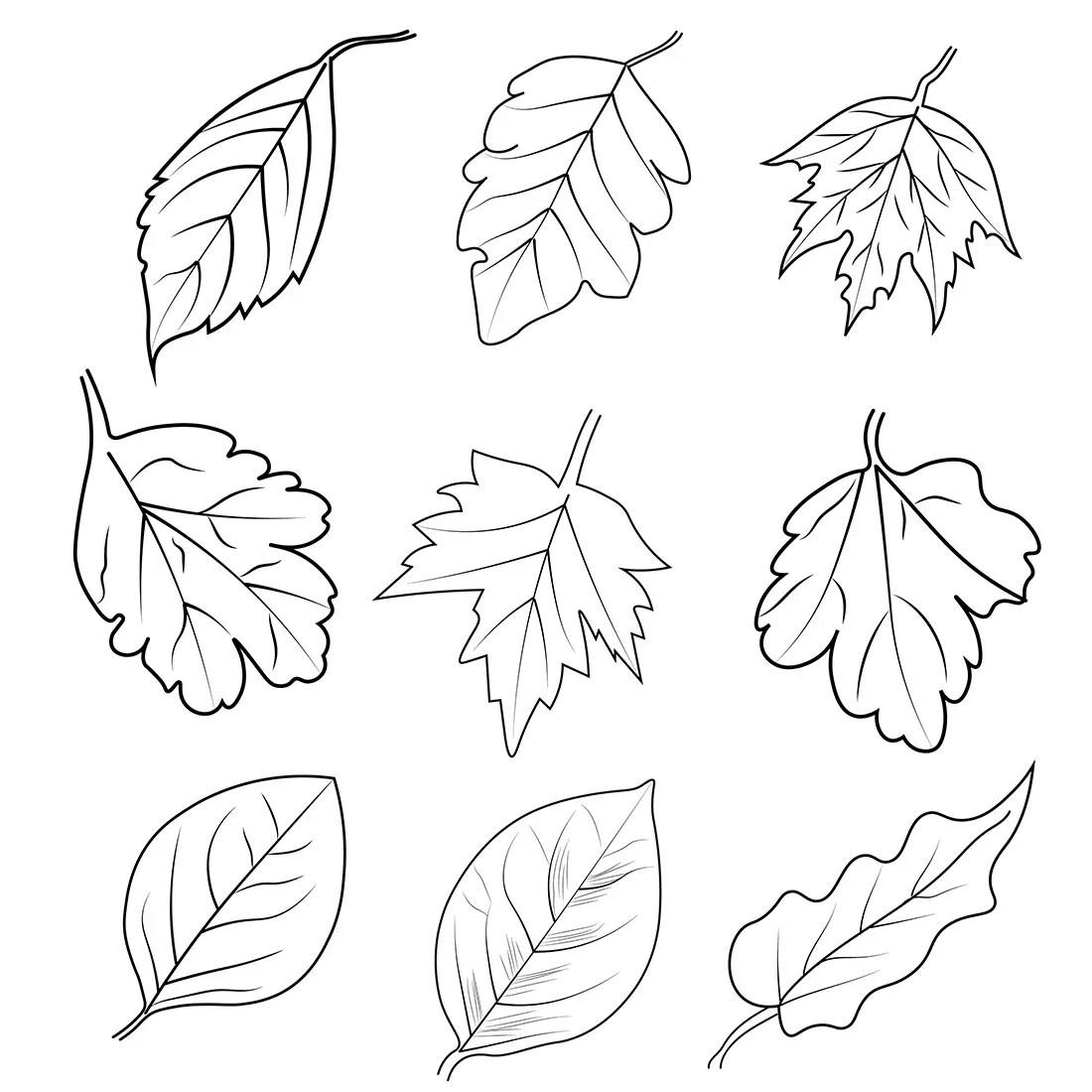 set of Autumn coloring pages, cute fall coloring pages, Autumn coloring