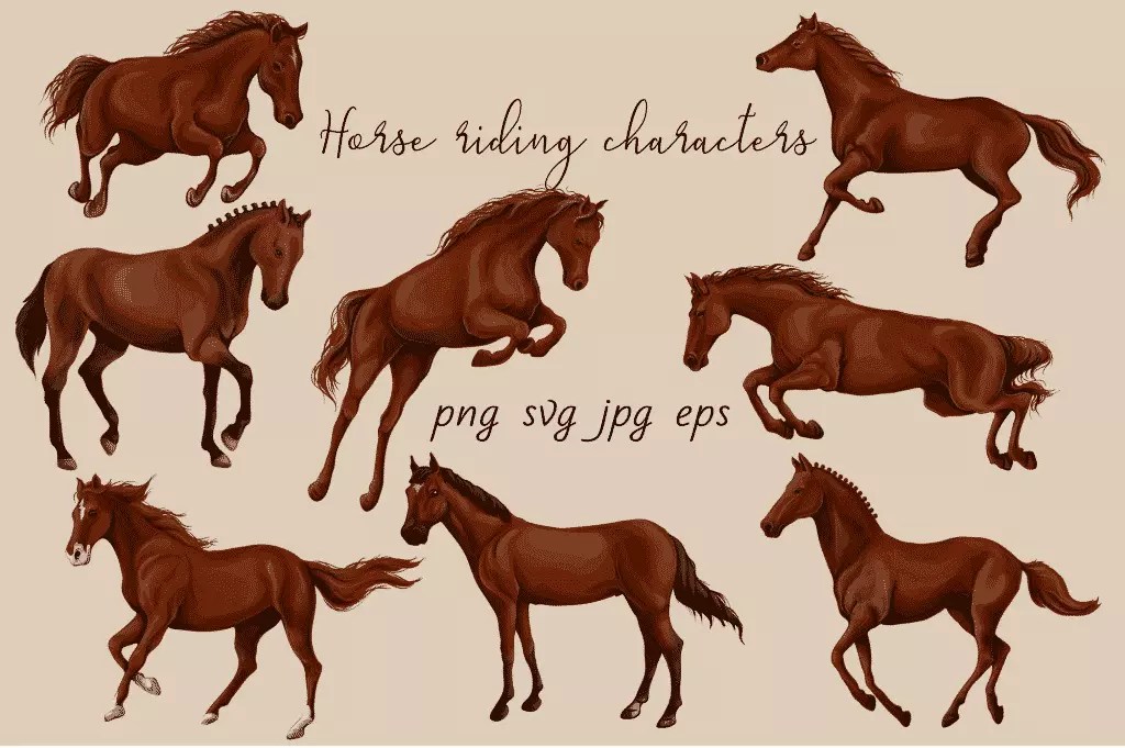 Horse Riding Vectors patterns, cards and items 18 Master Bundles