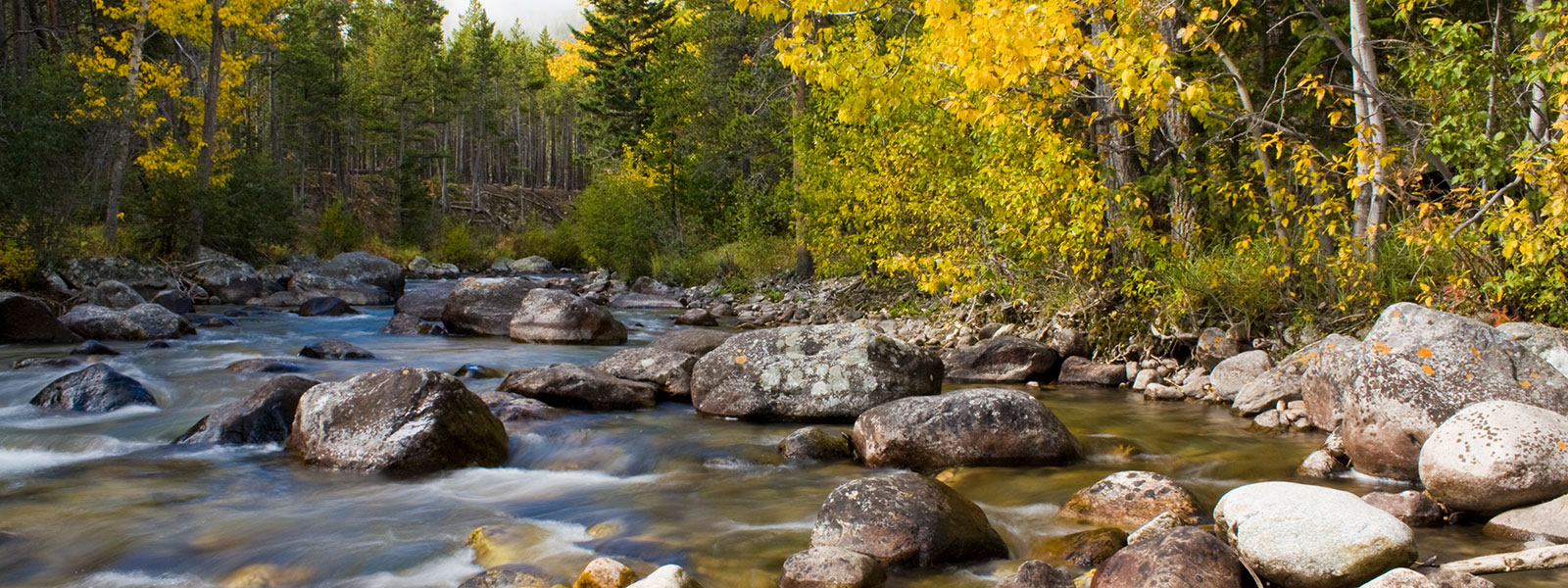 Contact Mastercare Cleaning in Jackson, Wyoming