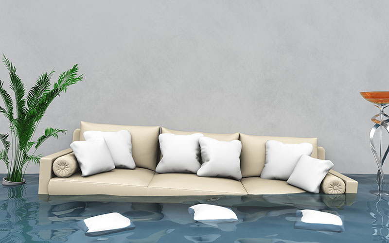 Mastercare Cleaning Carpet & Upholstery Cleaning Jackson, WY