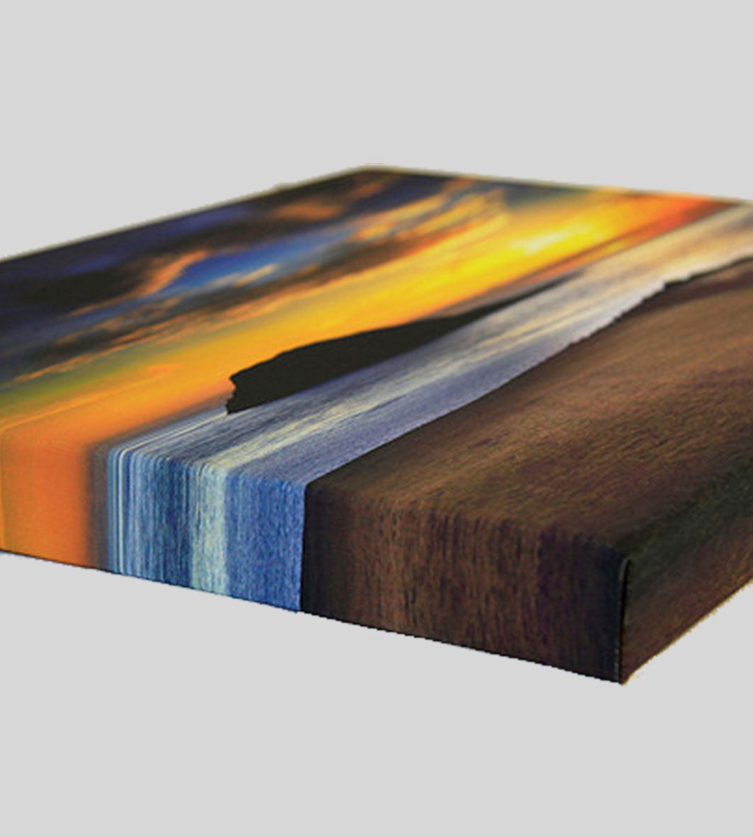 Artist Canvas with Frame Master Color Services
