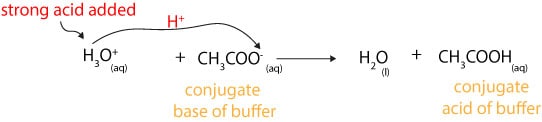 Buffer solution what is it and how does it work to resist changes in