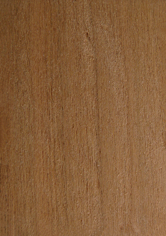 Wood Sample Book MasterFold