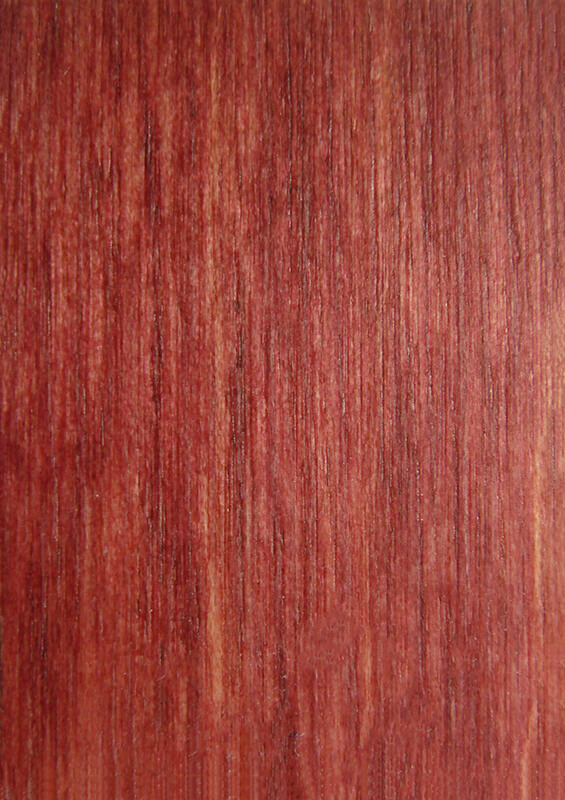 Wood Sample Book MasterFold