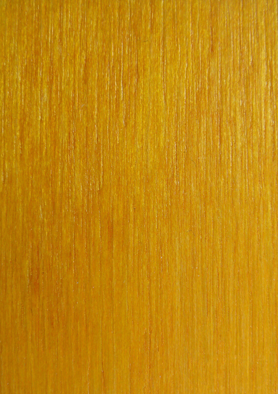 Wood Sample Book MasterFold