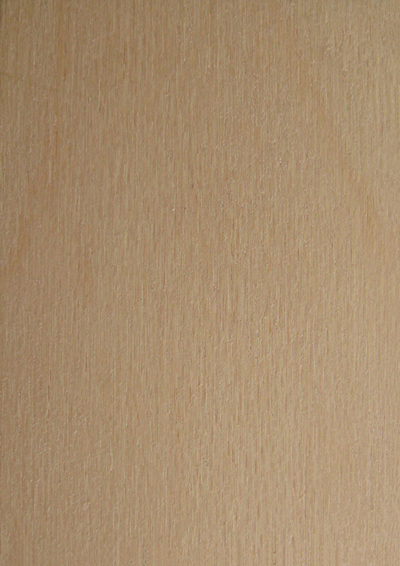 Wood Sample Book MasterFold