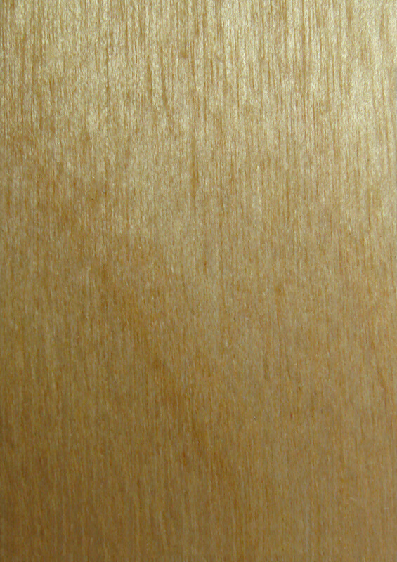 Wood Sample Book MasterFold