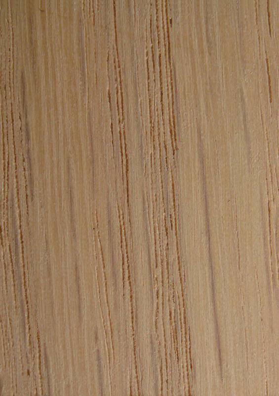 Wood Sample Book MasterFold