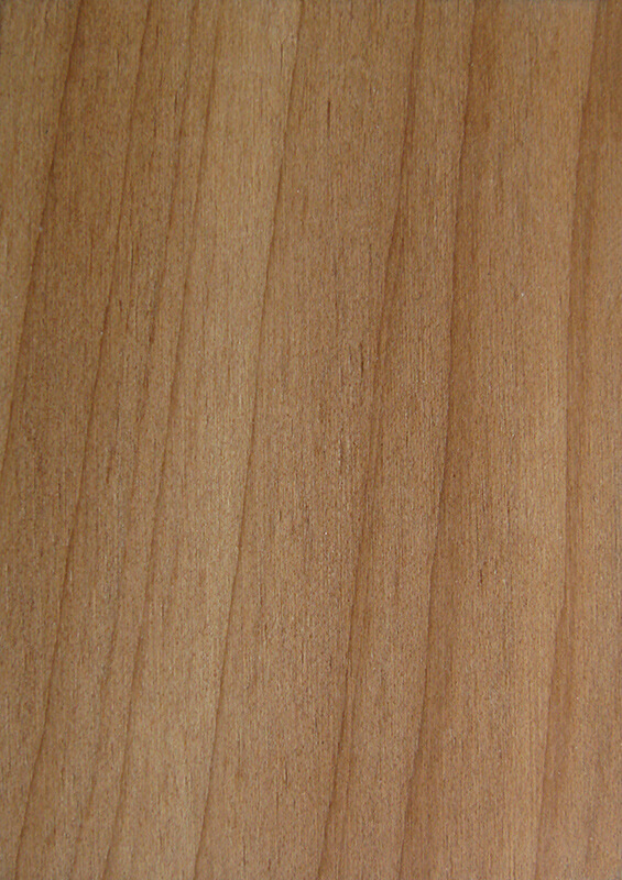 Wood Sample Book MasterFold