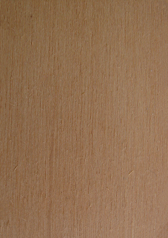 Wood Sample Book MasterFold