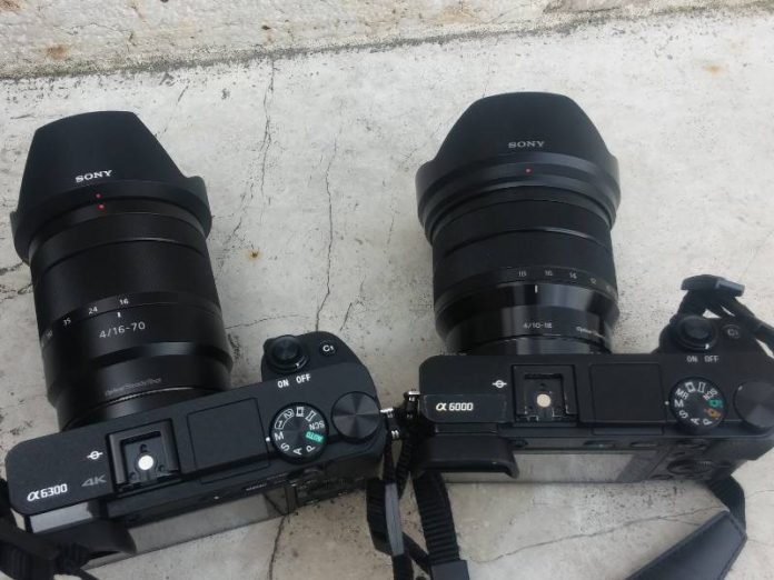 Sony A6300 vs Sony A6000 sample raw file (arw) scaricabili MasterGeek