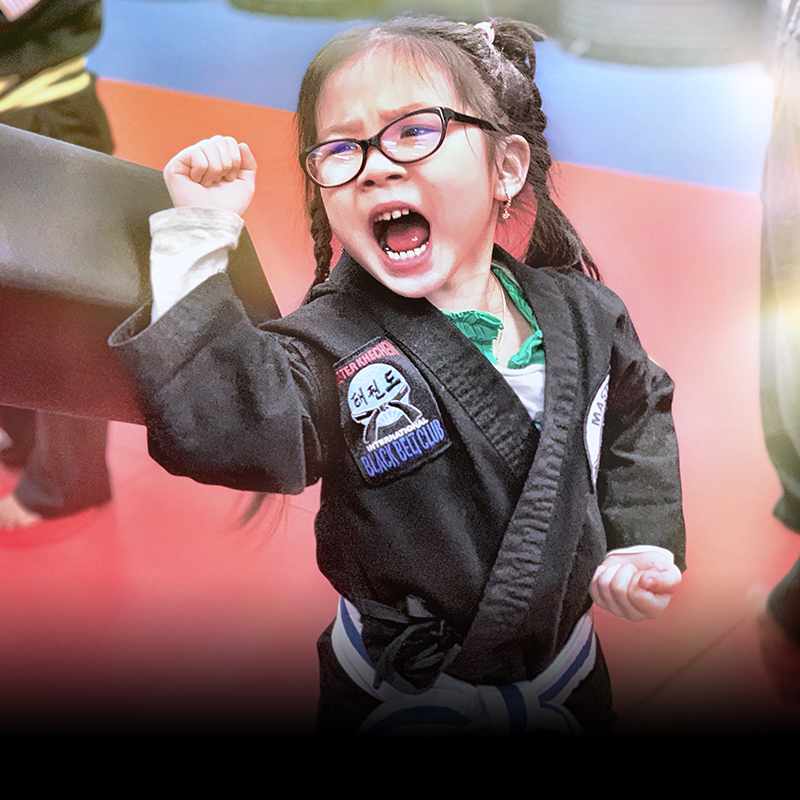 curriculum c « Martial Arts in Buffalo NY and Charlotte NC Master Khechen's Martial Arts Academy