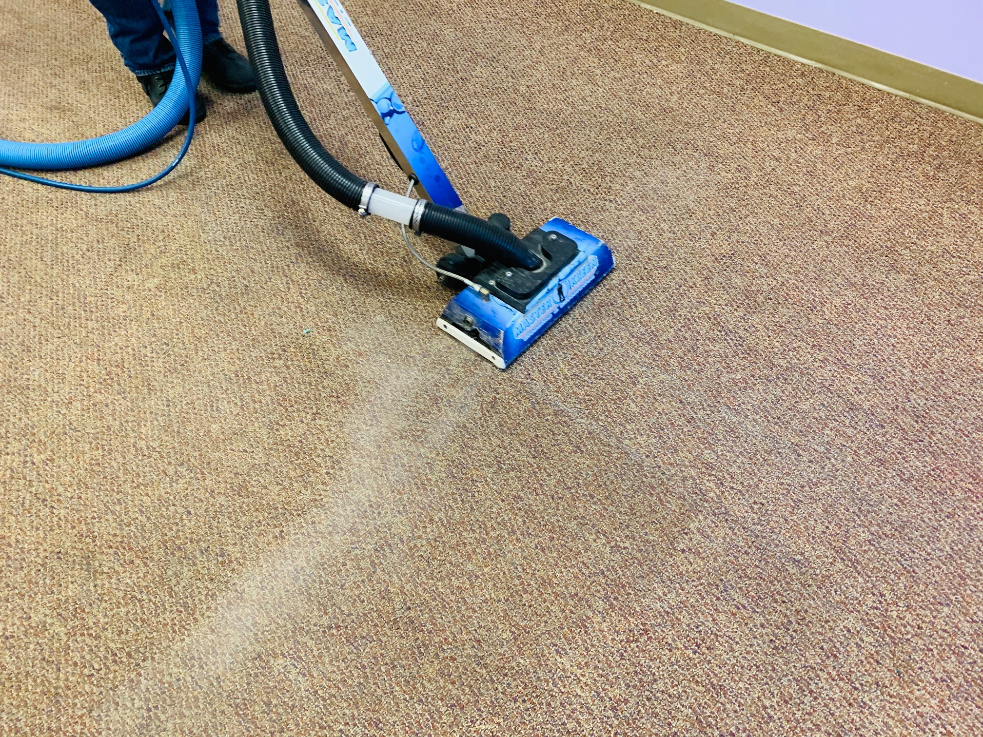 Carpet Cleaning Gallery in Irwin, PA