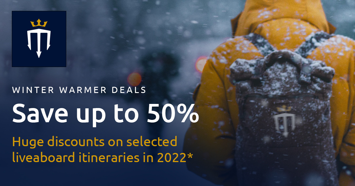 Winter Warmer Deals Master Liveaboards