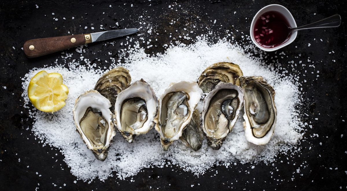 Oyster benefits Are oysters good for you Oyster nutrition facts
