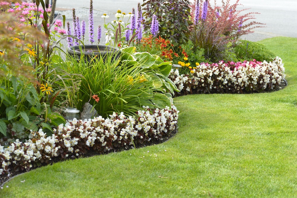 Landscape Edging Guide for Lawn, Garden, & Flower Beds Master Mark