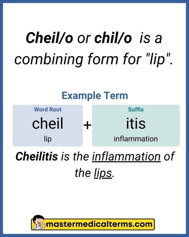cheil/o, chil/o Master Medical Terms