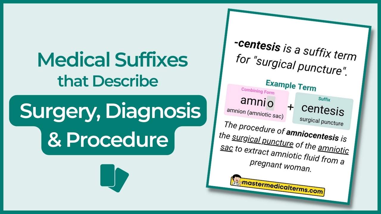 Medical Suffixes 📑 Review Flashcards Master Medical Terms