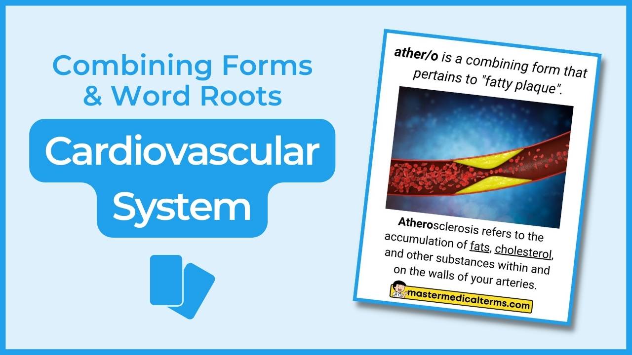 Common Word Roots for Cardiovascular System Master Medical Terms