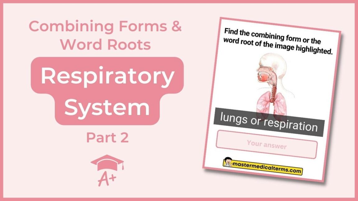 Common Word Roots for Respiratory System (Part 2) Master Medical Terms