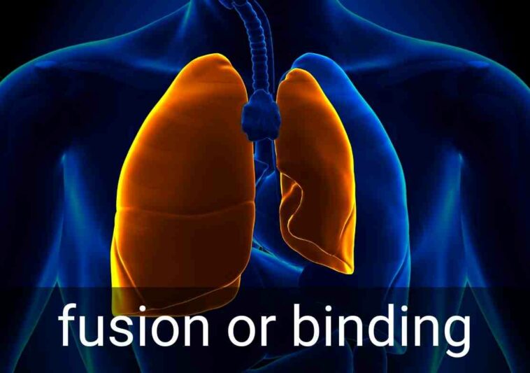 Medical Suffixes that Describe Surgery, Diagnosis & Procedure (Part 1