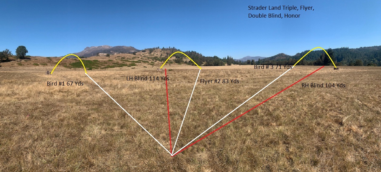 Diagrams Celebration Lower Land, Lynch Land and Strader Front Land