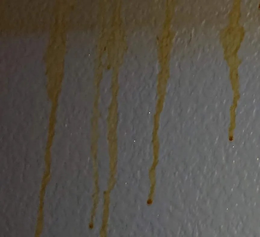 Cigarette Tar in Paint & Odor Removal Master Odor Removal