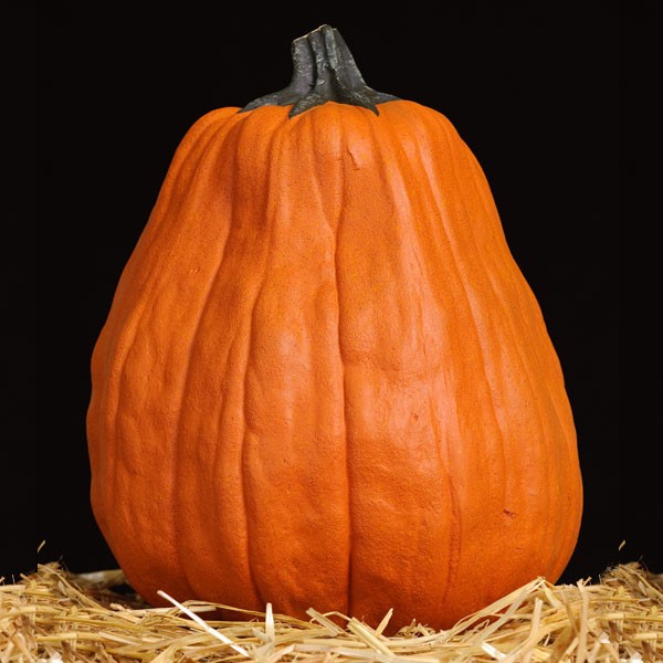 Masterpiece Pumpkins FUNKINS artificial carvable pumpkins